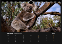 Kalender - Australien 2025